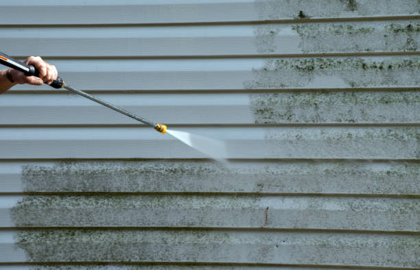 Best Driveway Pressure Washing  in Ashton, ID